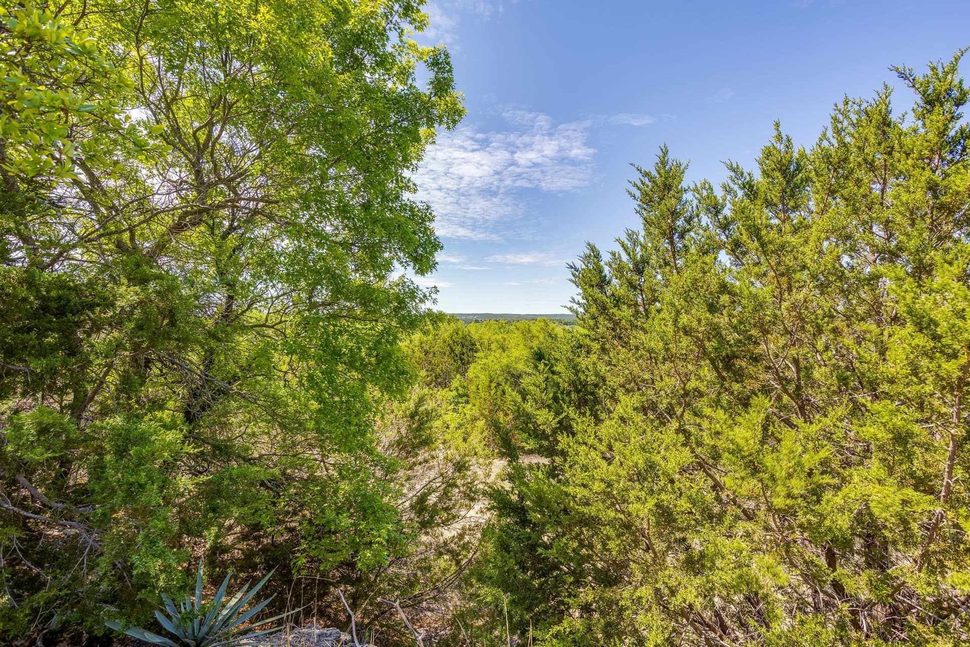 122.3 acres in Parker County - photo 19
