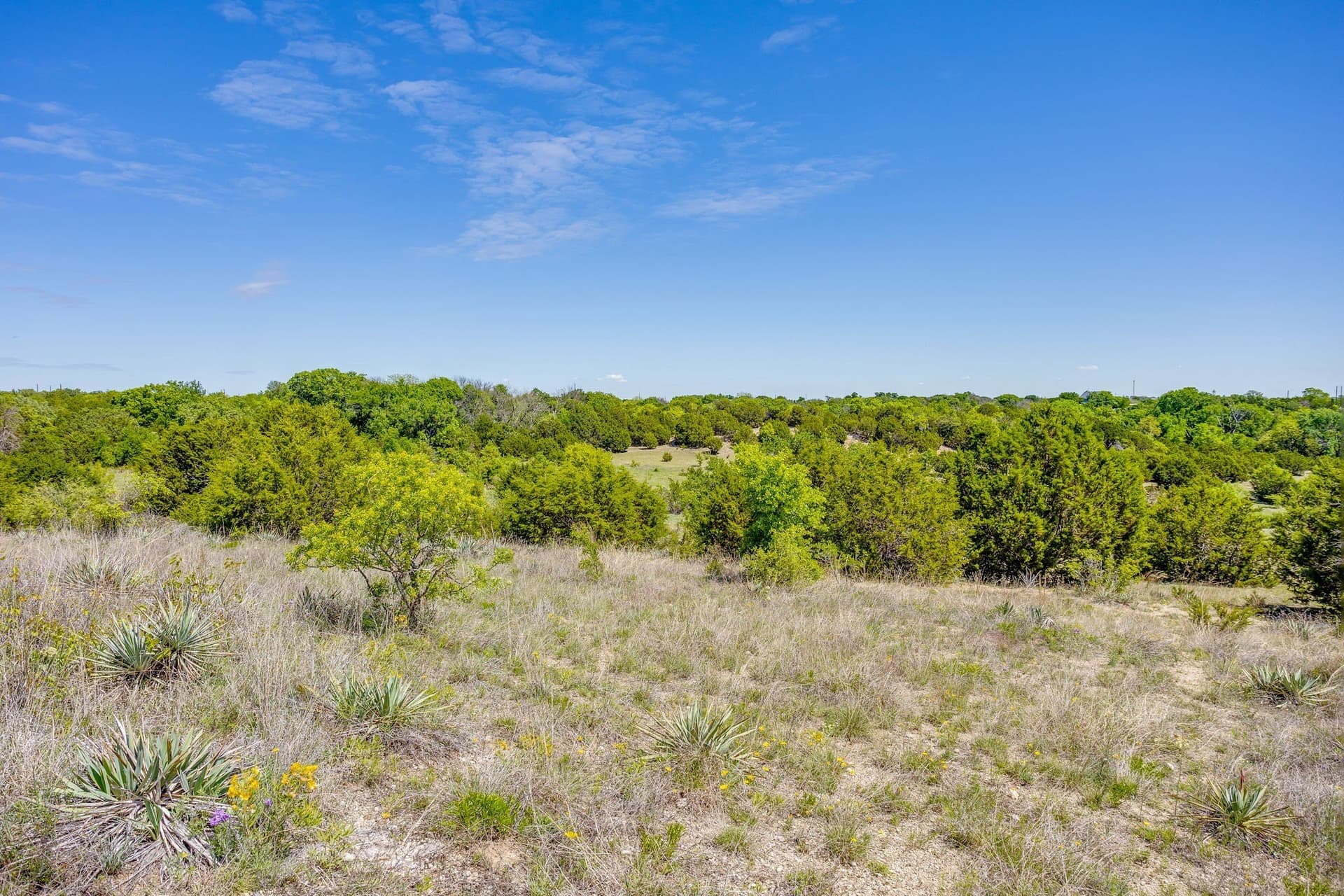 122.3 acres in Parker County - photo 21