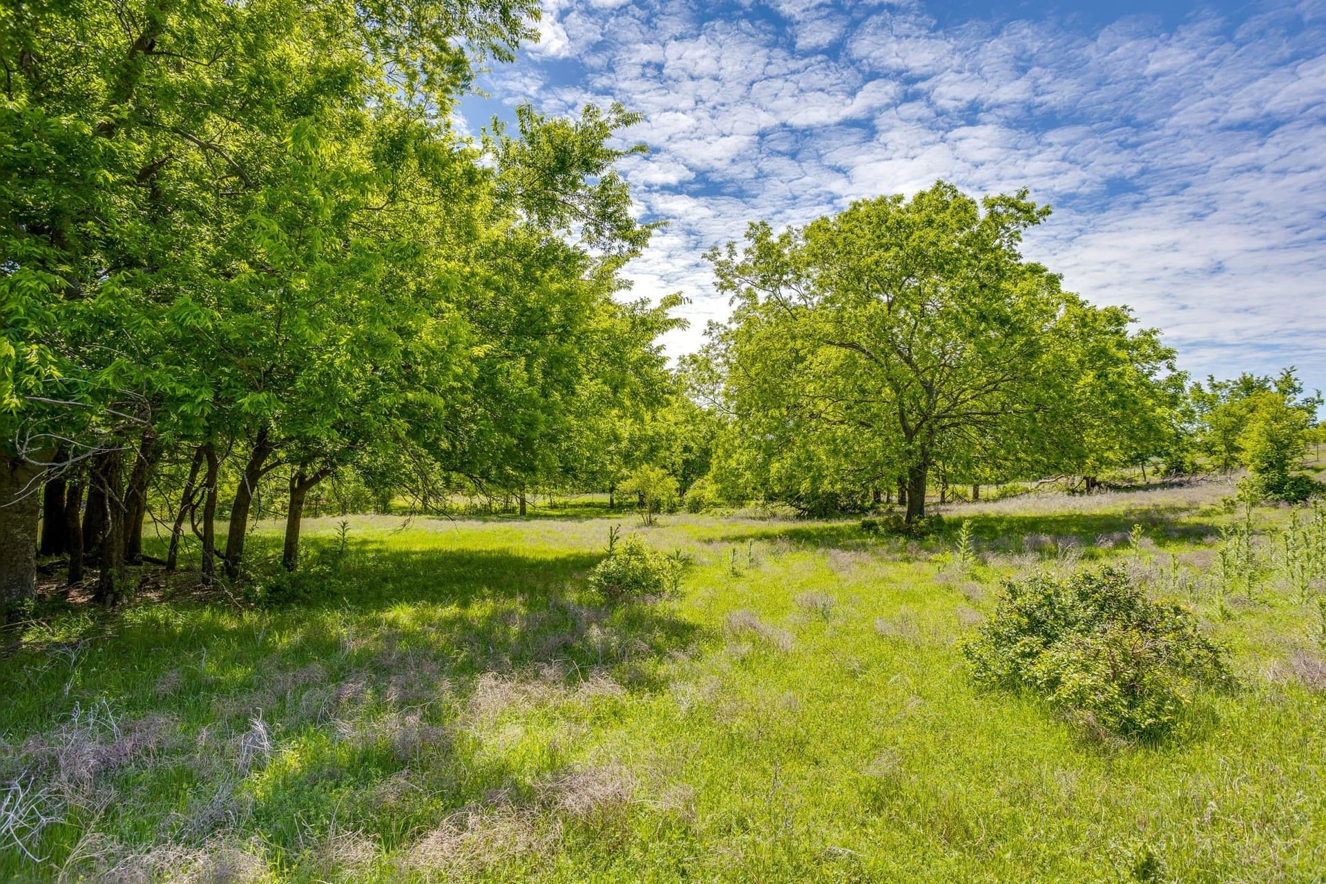 122.3 acres in Parker County - photo 16