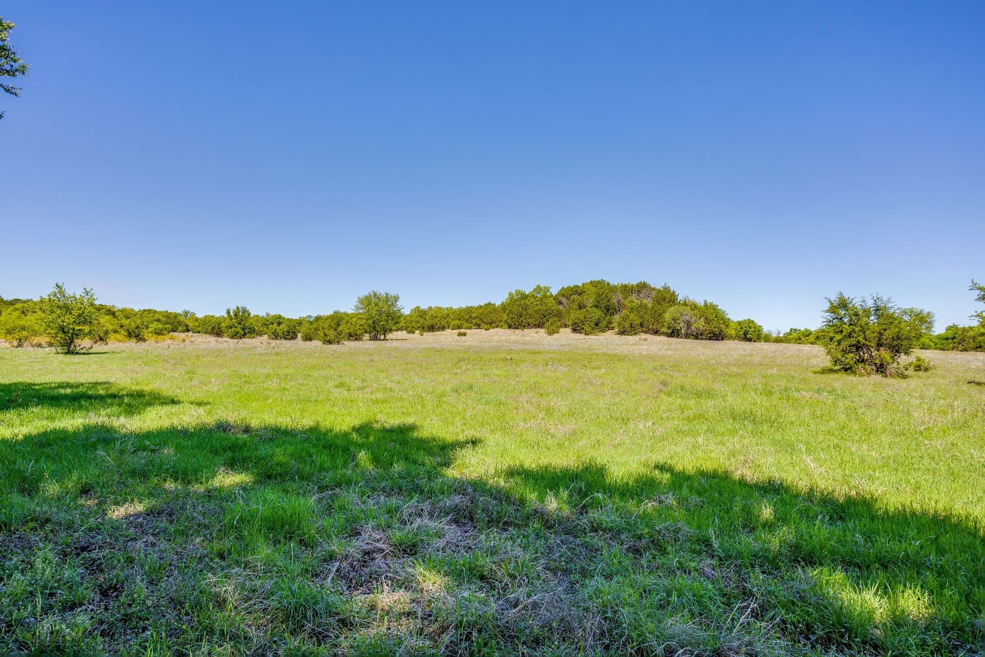 122.3 acres in Parker County - photo 8