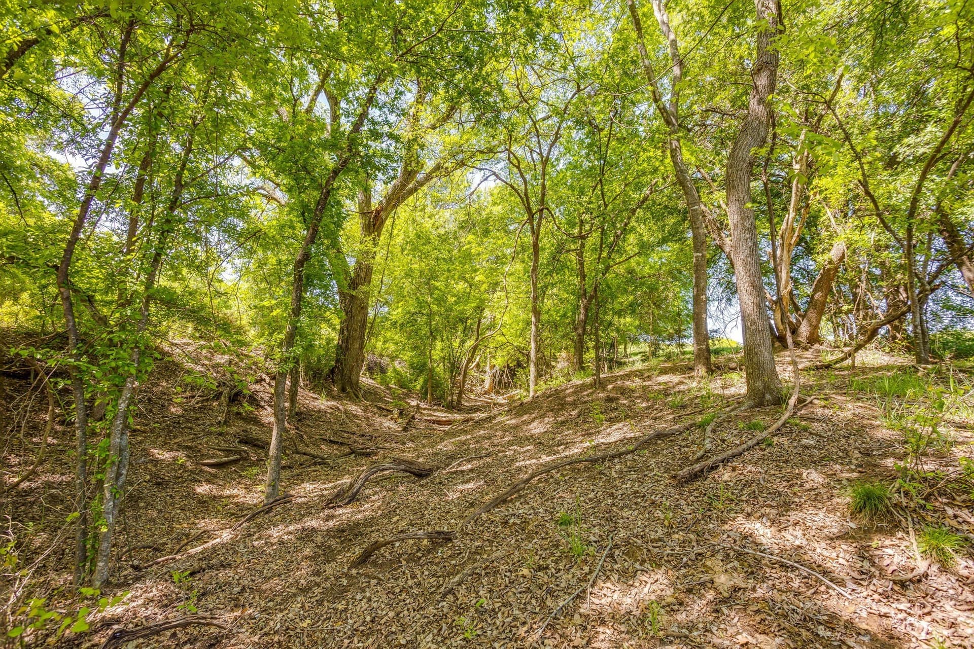 122.3 acres in Parker County - photo 9