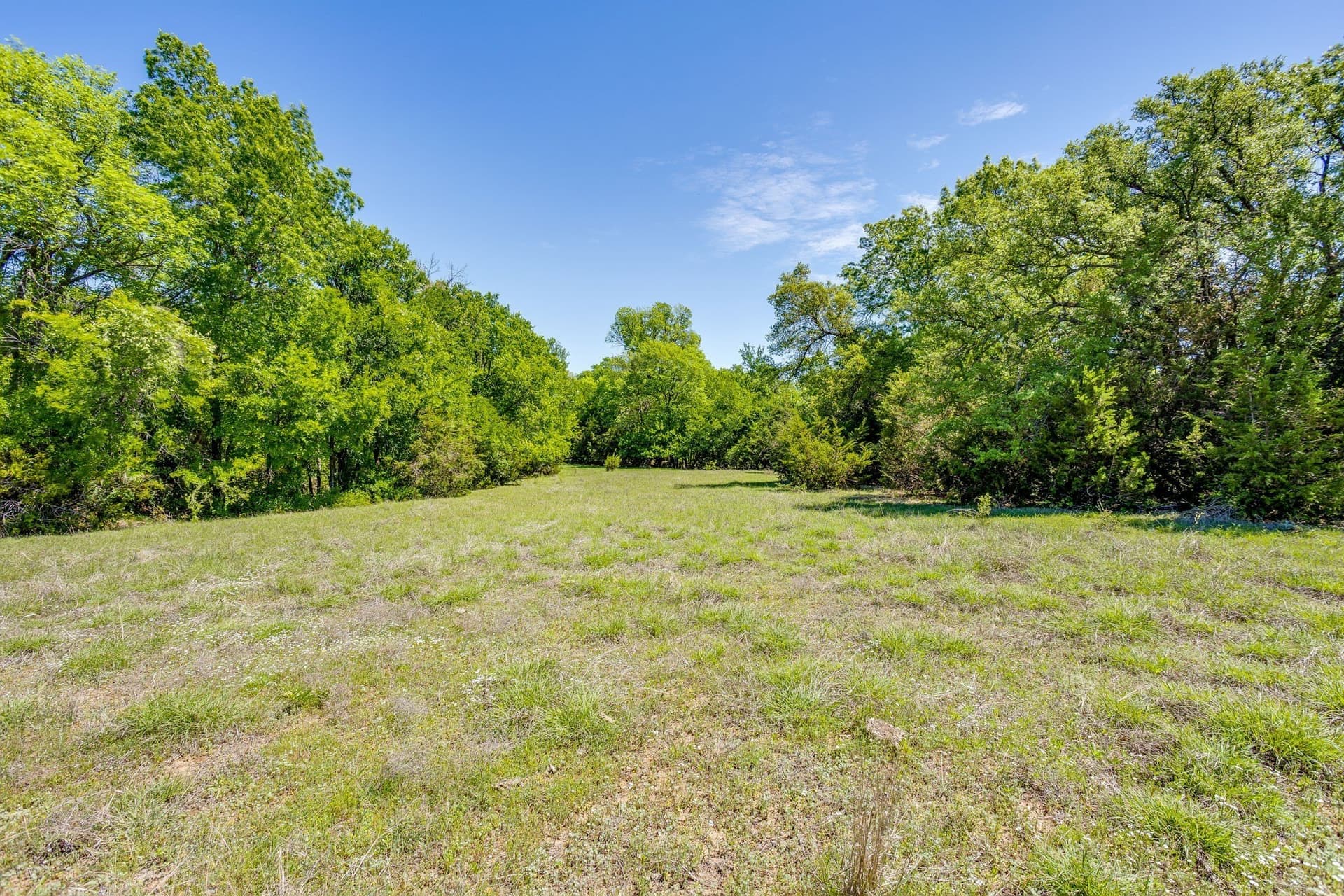 122.3 acres in Parker County - photo 25