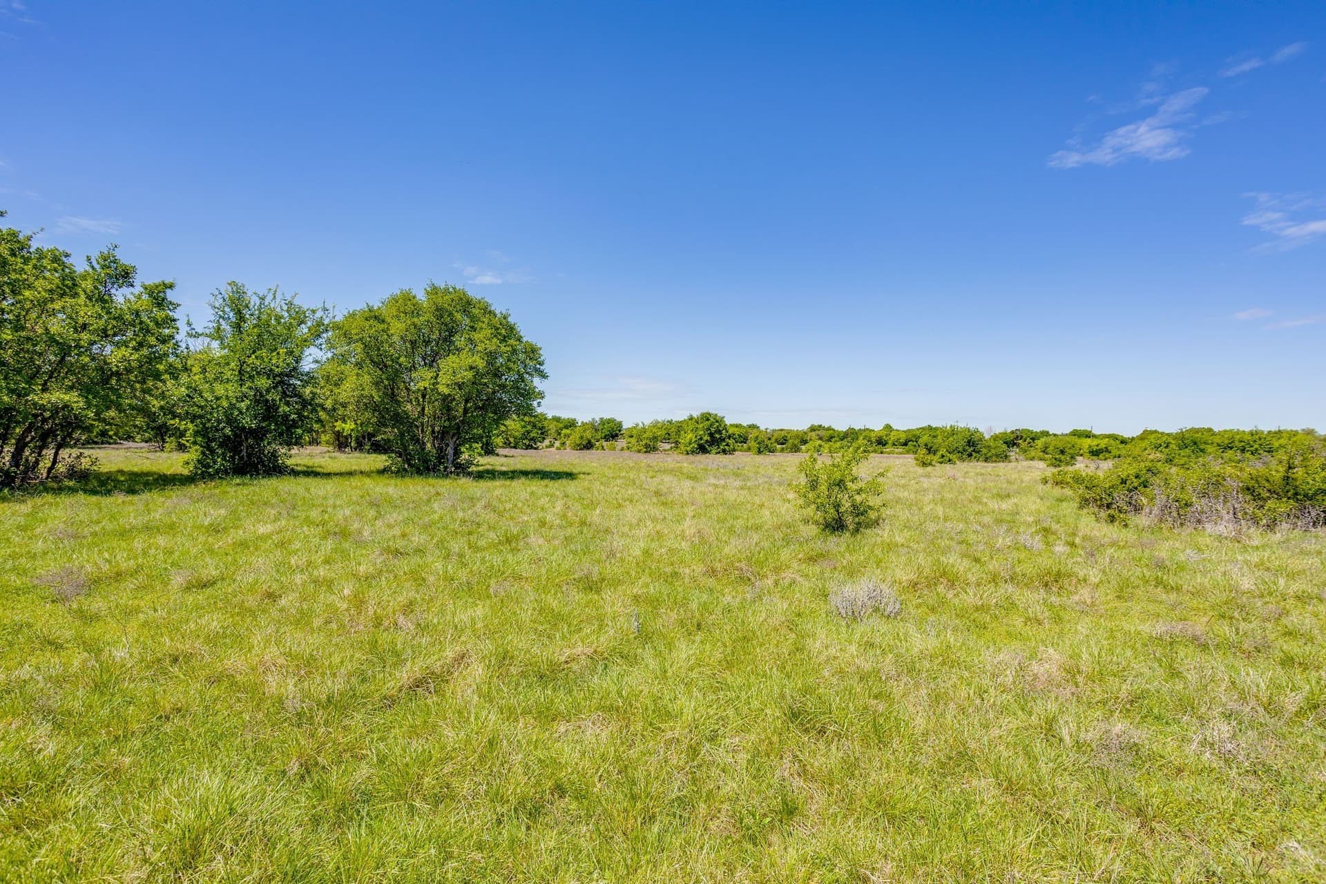 122.3 acres in Parker County - photo 7