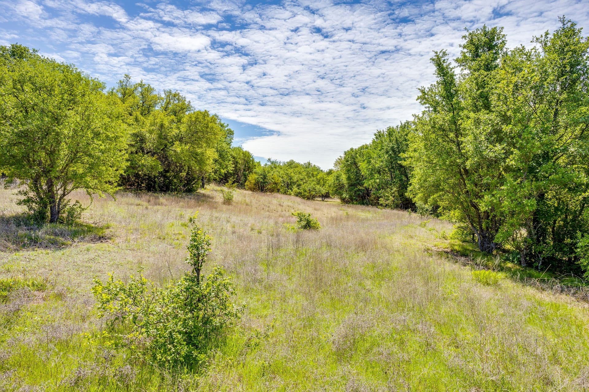 122.3 acres in Parker County - photo 17