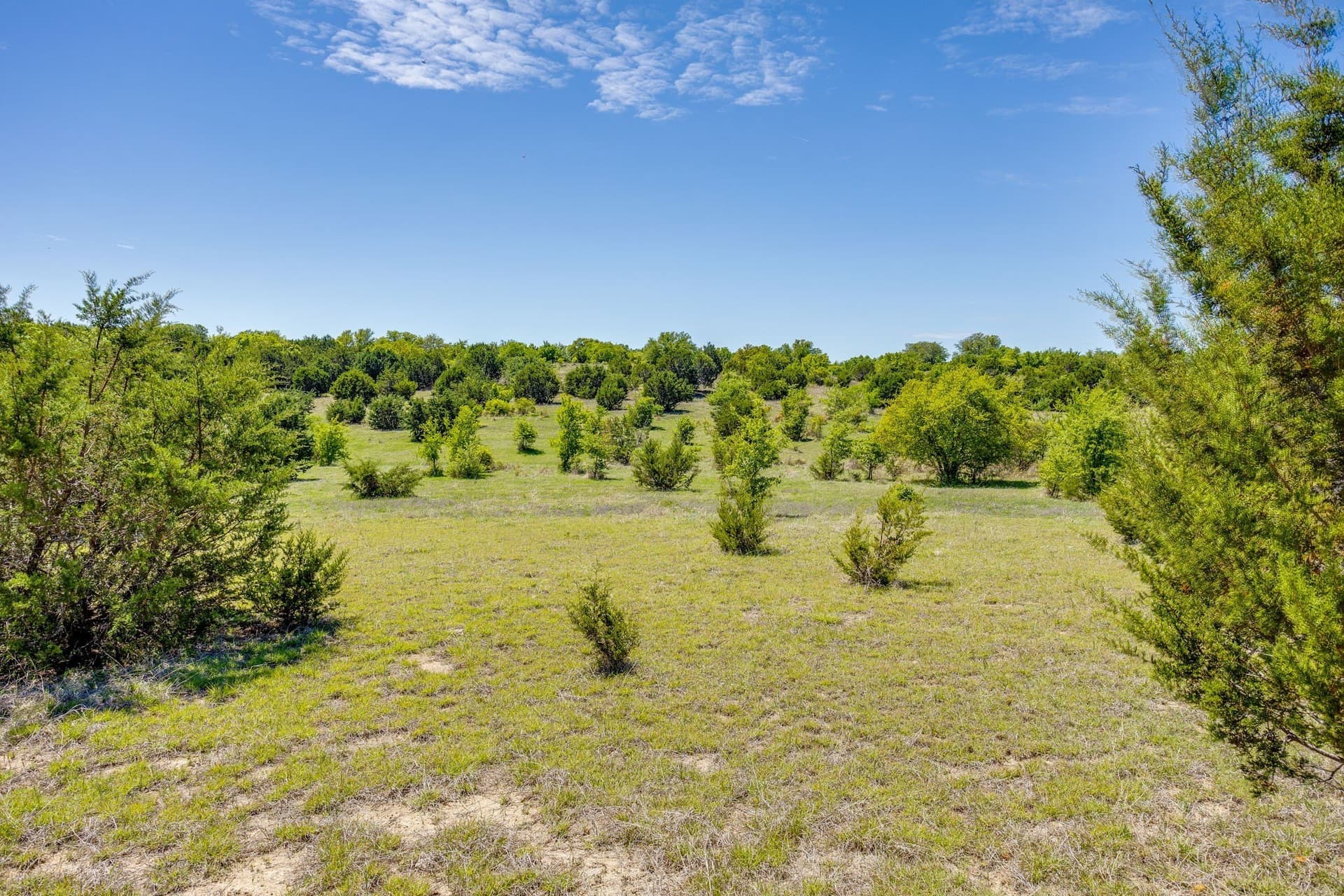 122.3 acres in Parker County - photo 28