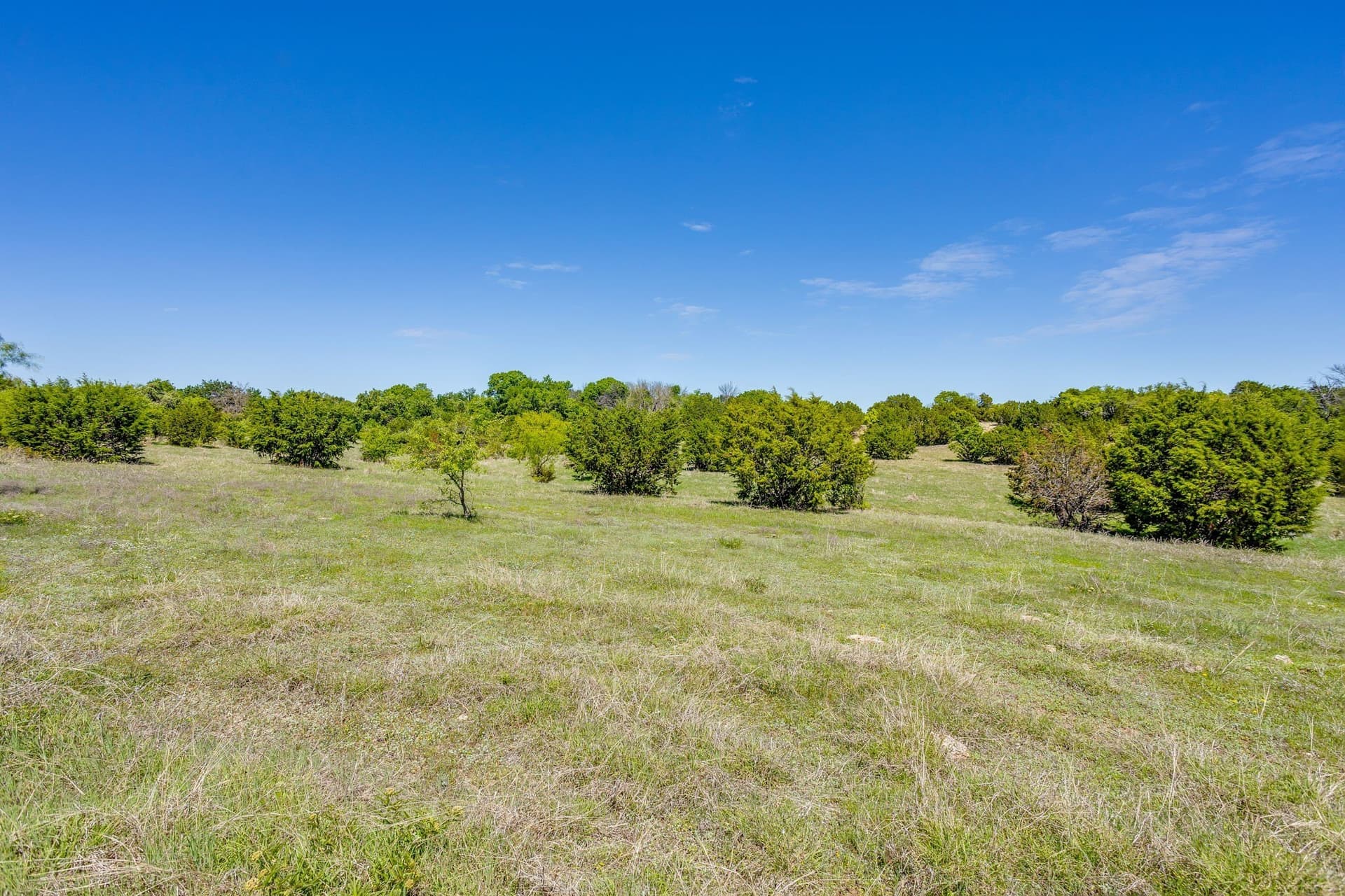 122.3 acres in Parker County - photo 23