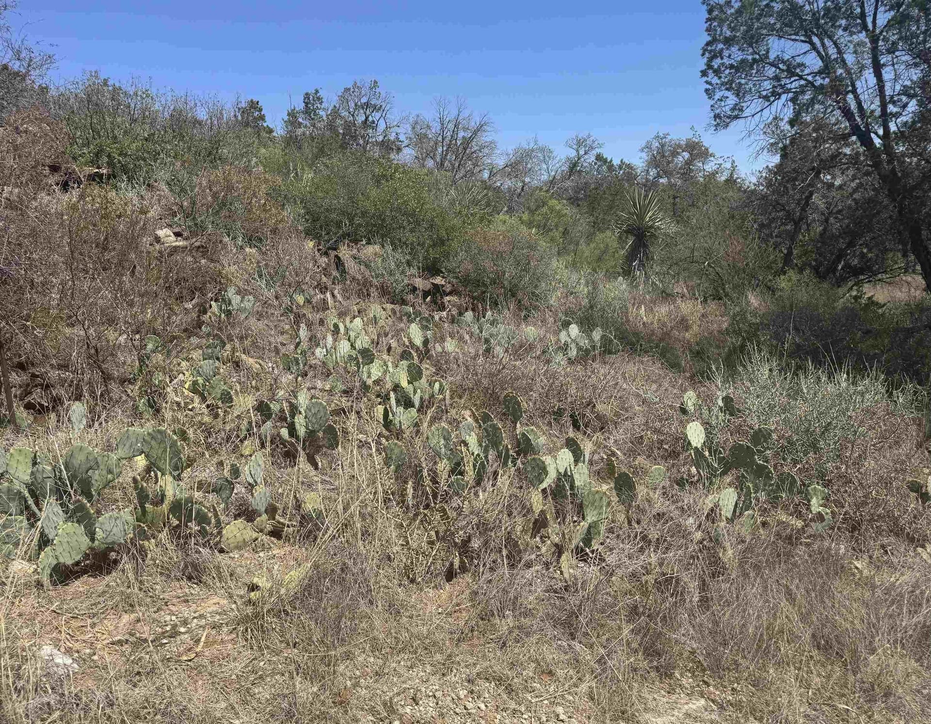 0.63 acres in Burnet County featured view