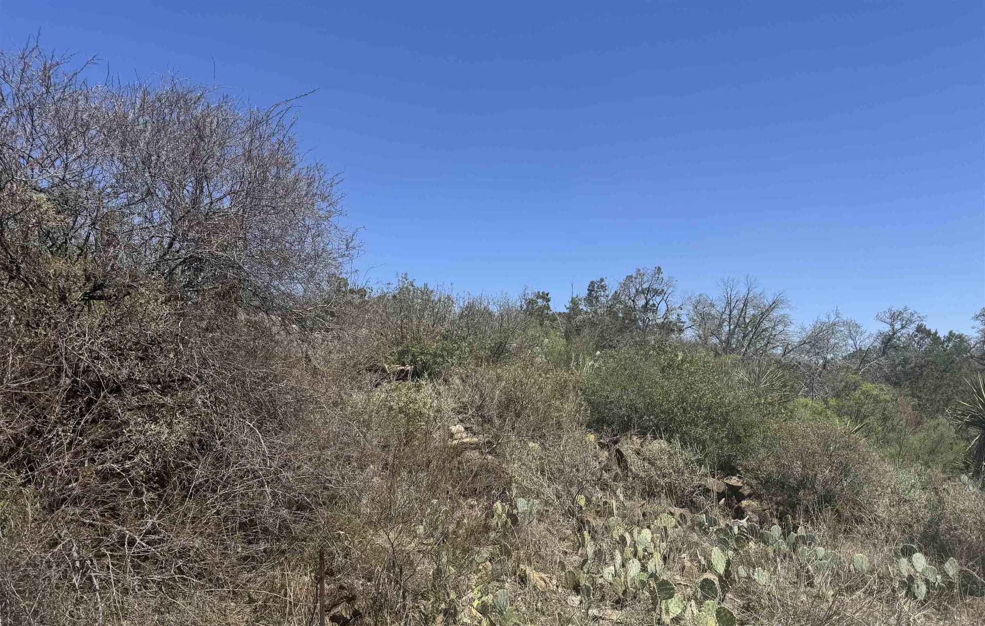 0.63 acres in Burnet County - photo 6