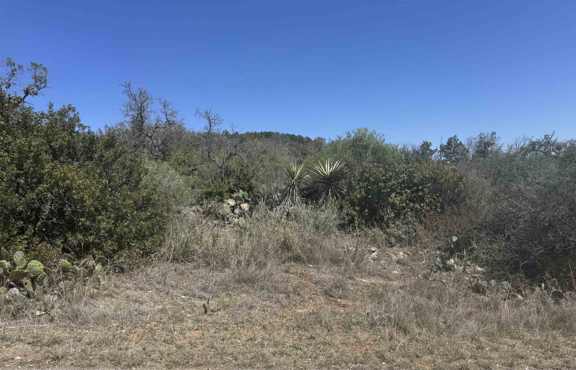 0.63 acres in Burnet County gallery image 4