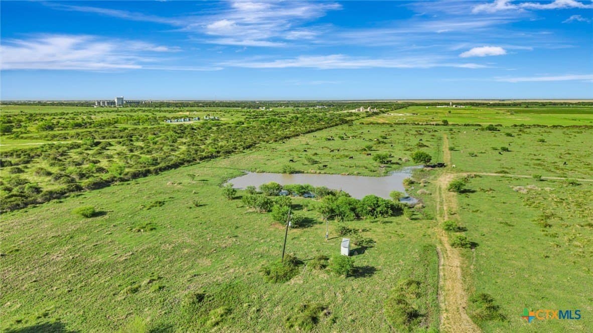 99.33 acres in Victoria County featured view