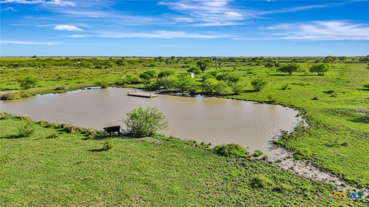 99.33 acres in Victoria County gallery image 4