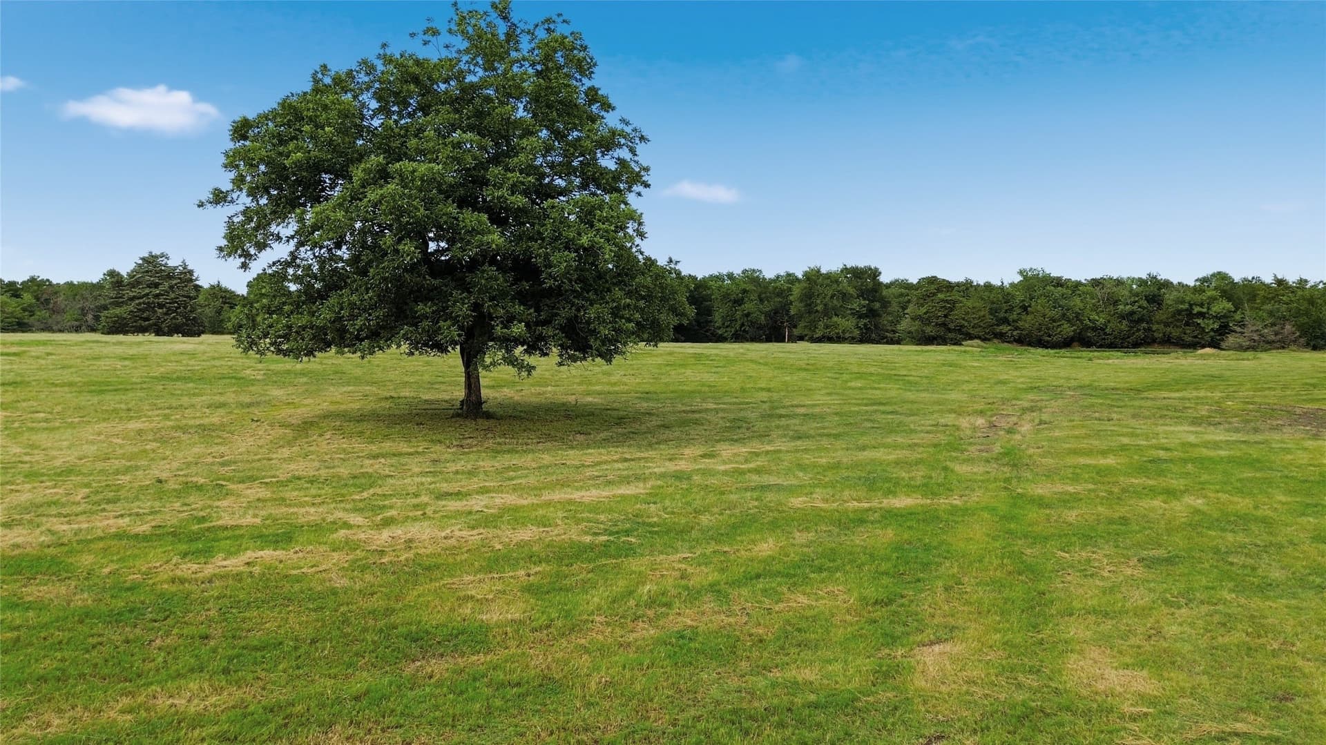 26 acres in Delta County gallery image 3