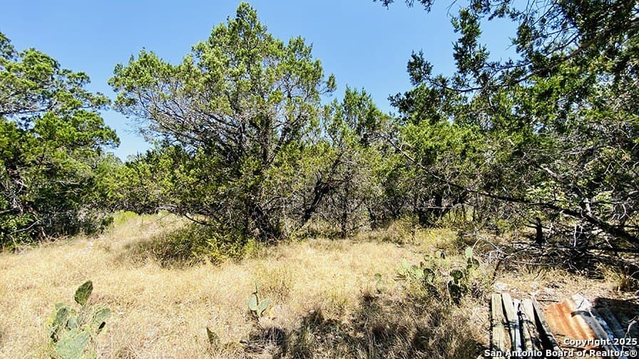 0.4 acres in Bandera County - photo 16