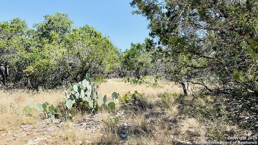 0.4 acres in Bandera County - photo 23