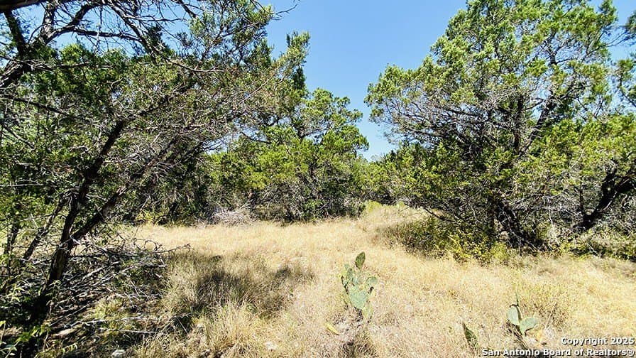 0.4 acres in Bandera County - photo 17