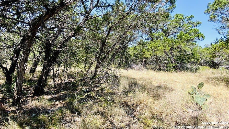 0.4 acres in Bandera County - photo 18