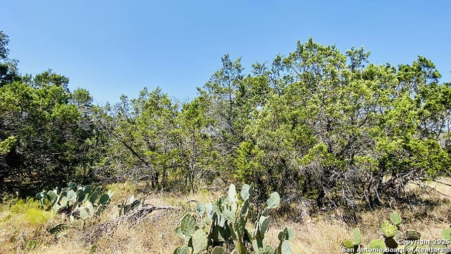 0.4 acres in Bandera County gallery image 3