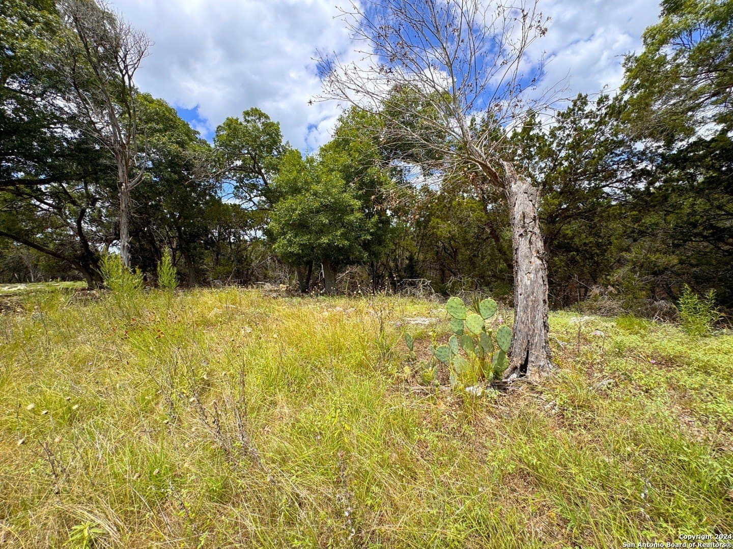 1.02 acres in Comal County - photo 11