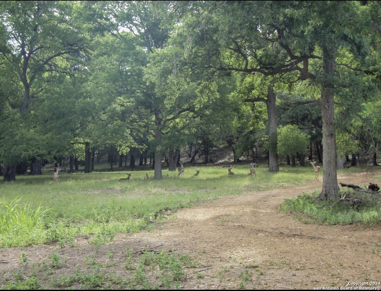 1.02 acres in Comal County - photo 16