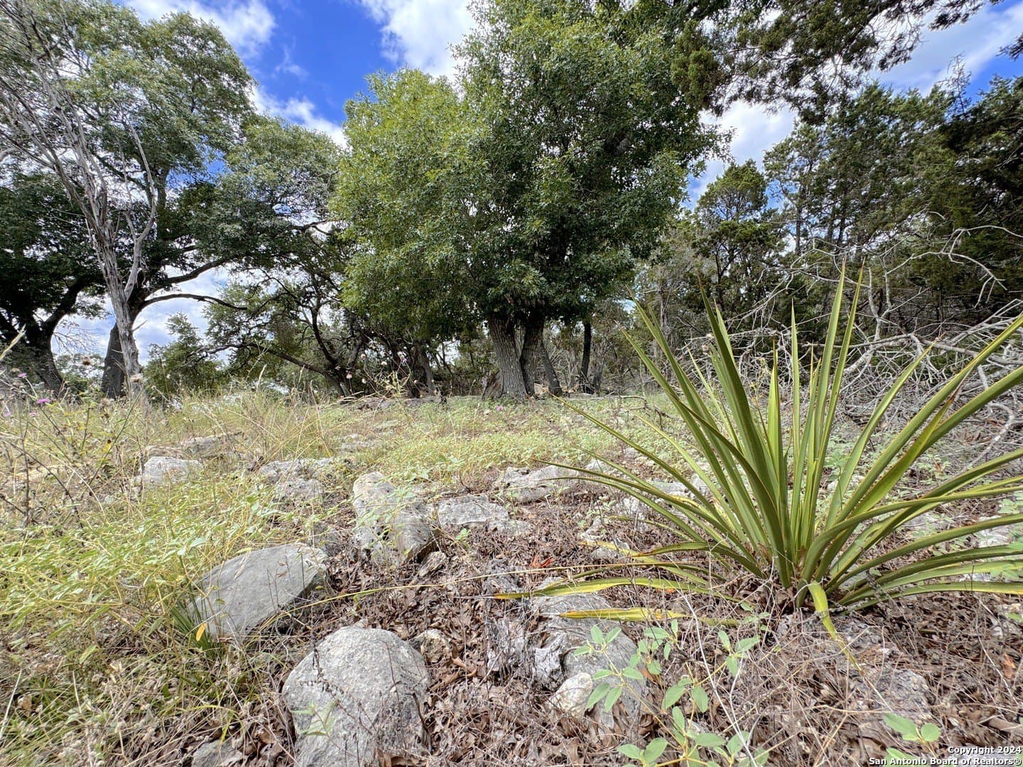 1.02 acres in Comal County - photo 9