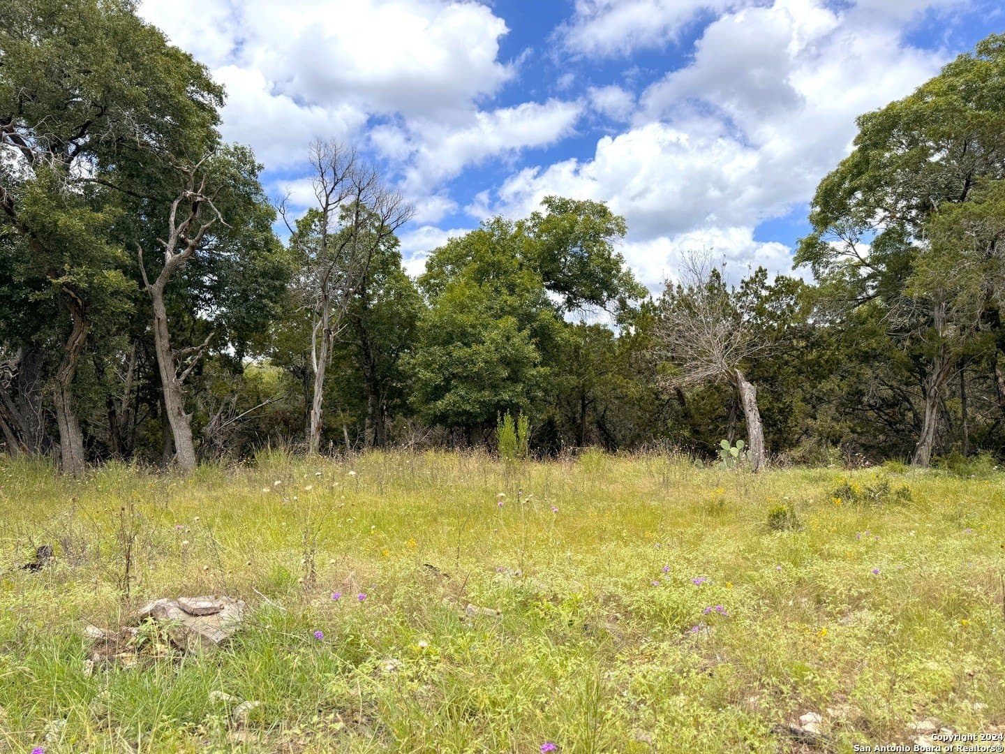 1.02 acres in Comal County - photo 8