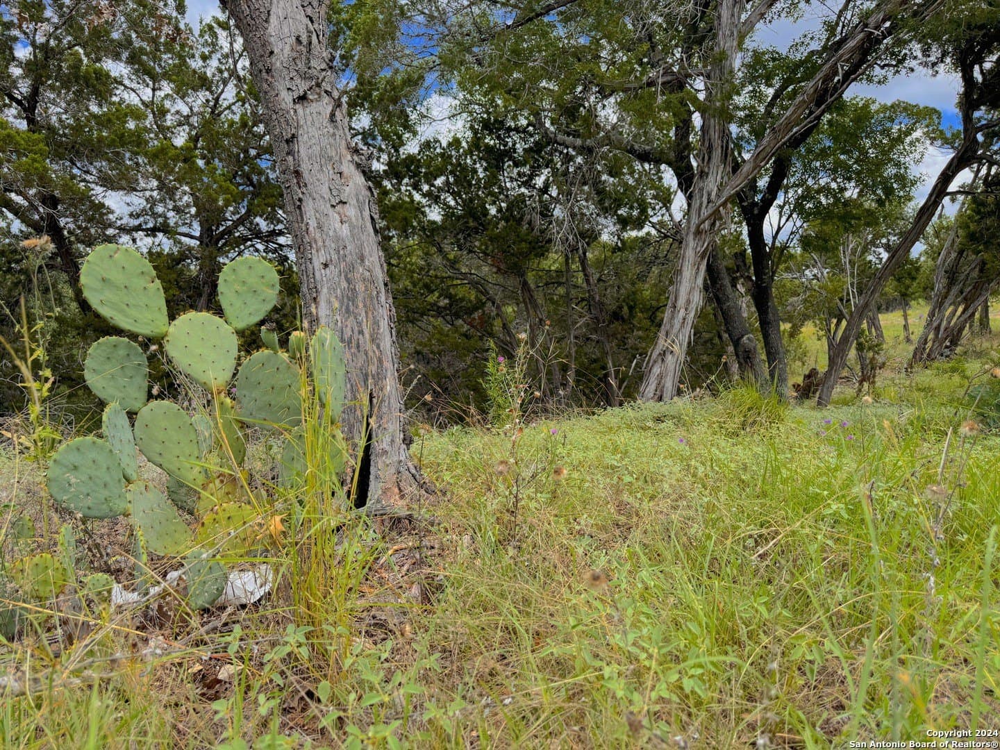 1.02 acres in Comal County - photo 7