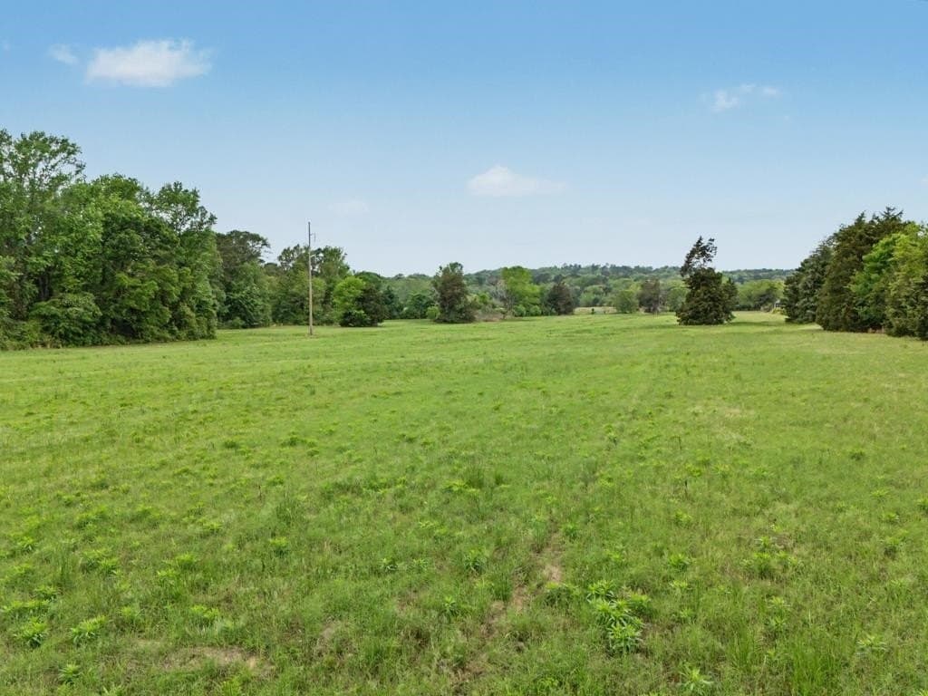 16 acres in Upshur County gallery image 4