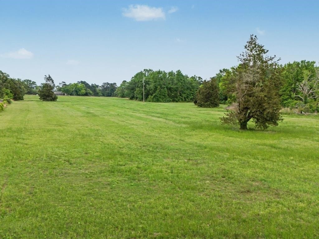 16 acres in Upshur County gallery image 2