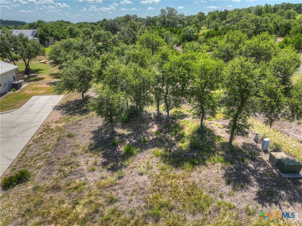 0.53 acres in Comal County gallery image 4