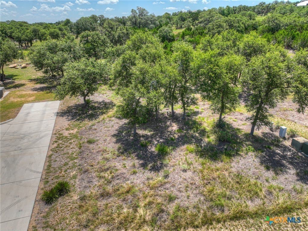 0.53 acres in Comal County gallery image 2
