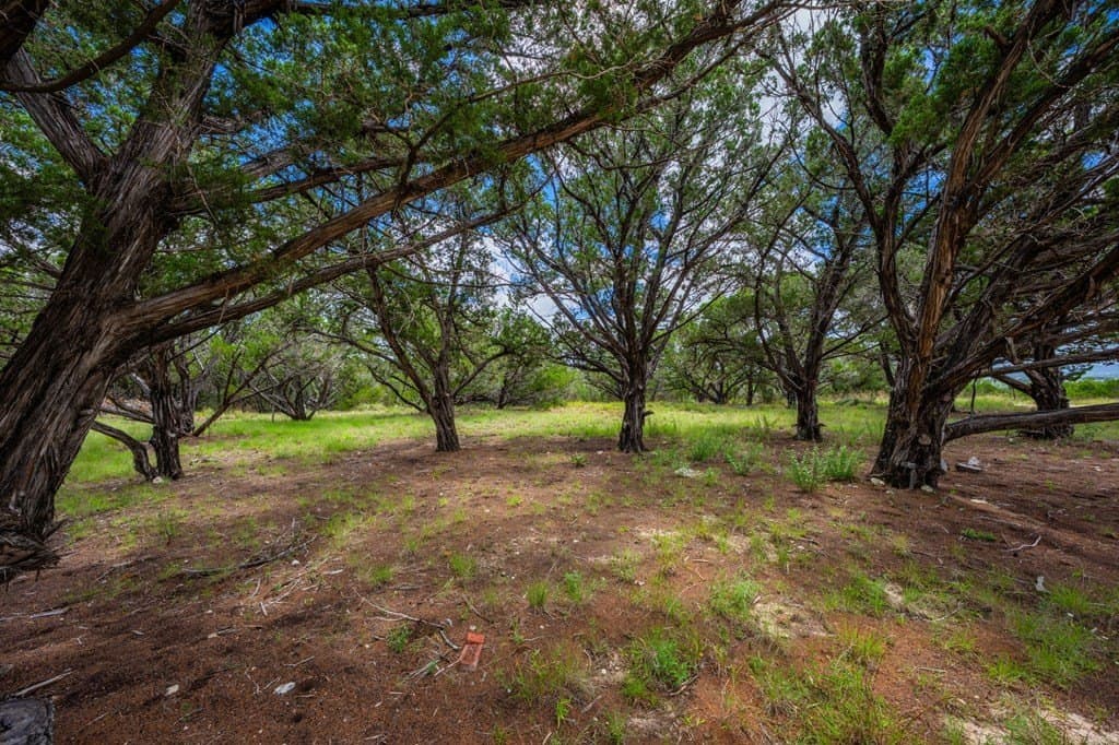 9.75 acres in Bandera County - photo 6