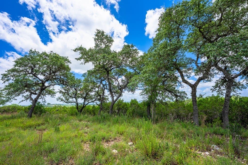 9.75 acres in Bandera County - photo 8