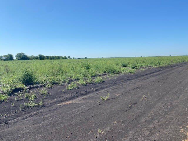 10.22 acres in Texas County gallery image 3