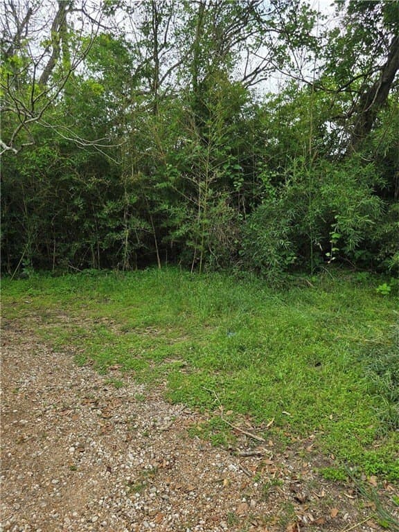 3.19 acres in AUSTIN County - photo 6