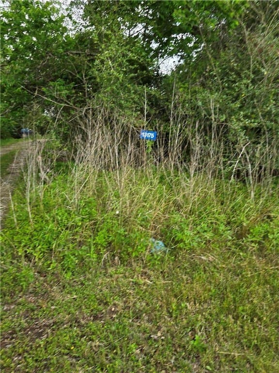 3.19 acres in AUSTIN County - photo 2