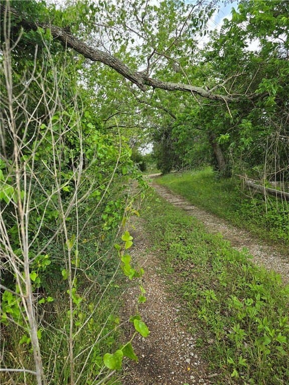 3.19 acres in AUSTIN County - photo 4
