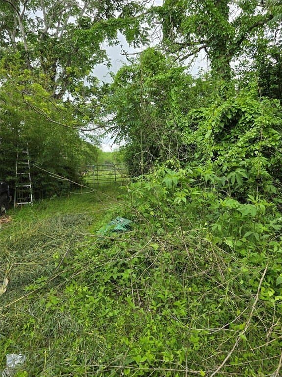 3.19 acres in AUSTIN County - photo 5