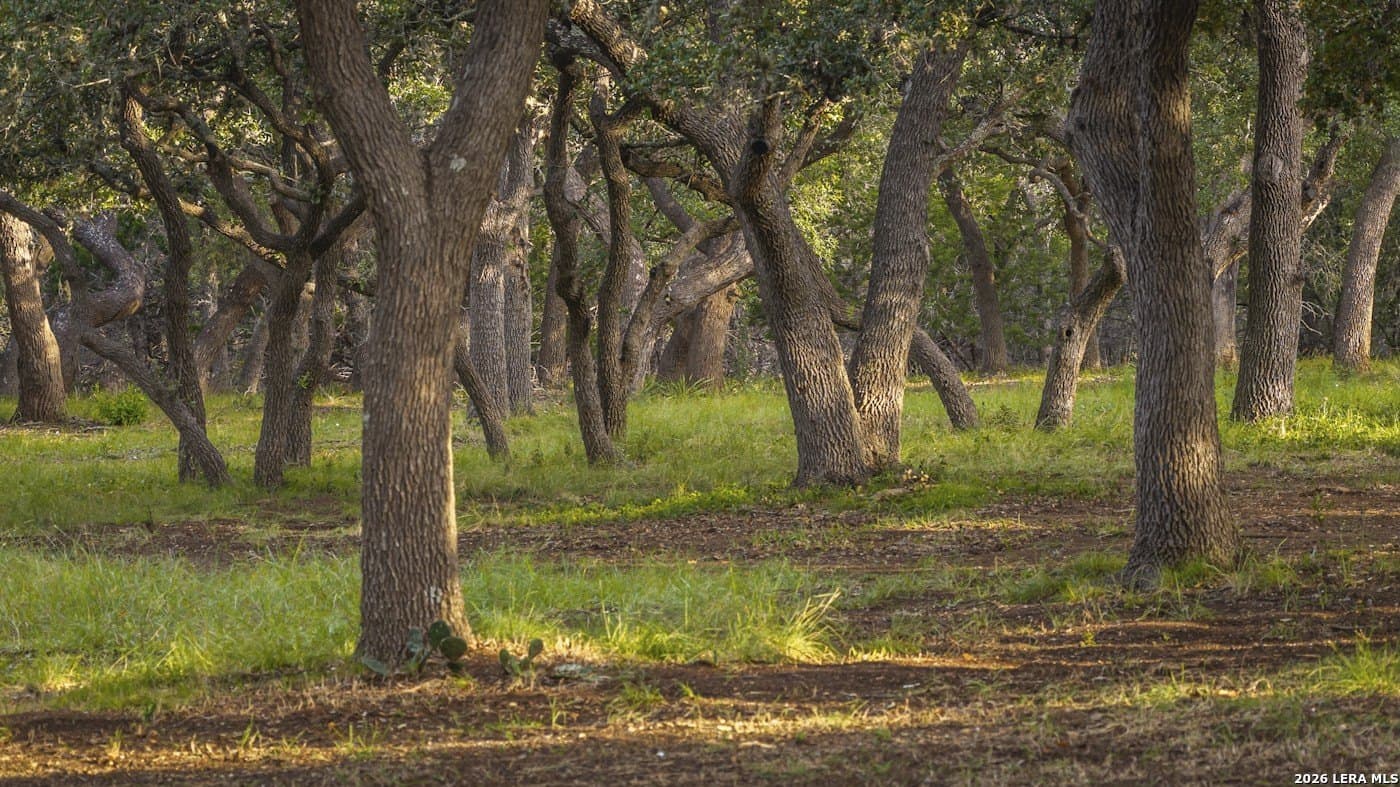 72.89 acres in Comal County featured view