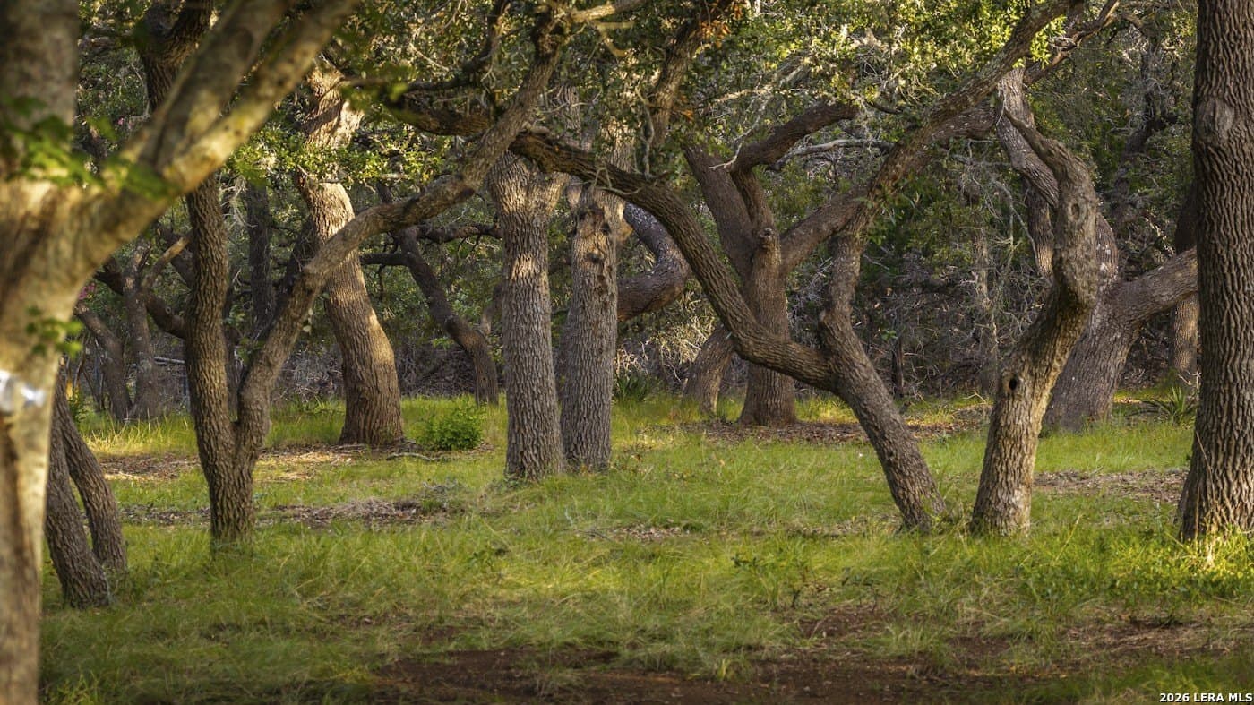 72.89 acres in Comal County - photo 18