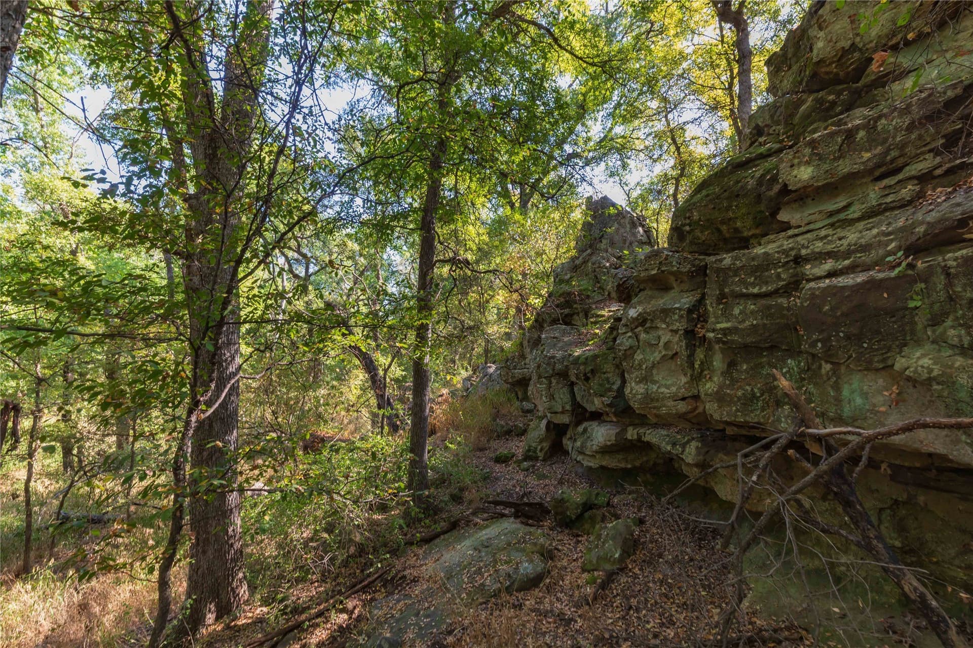 73.66 acres in Comanche County - photo 5