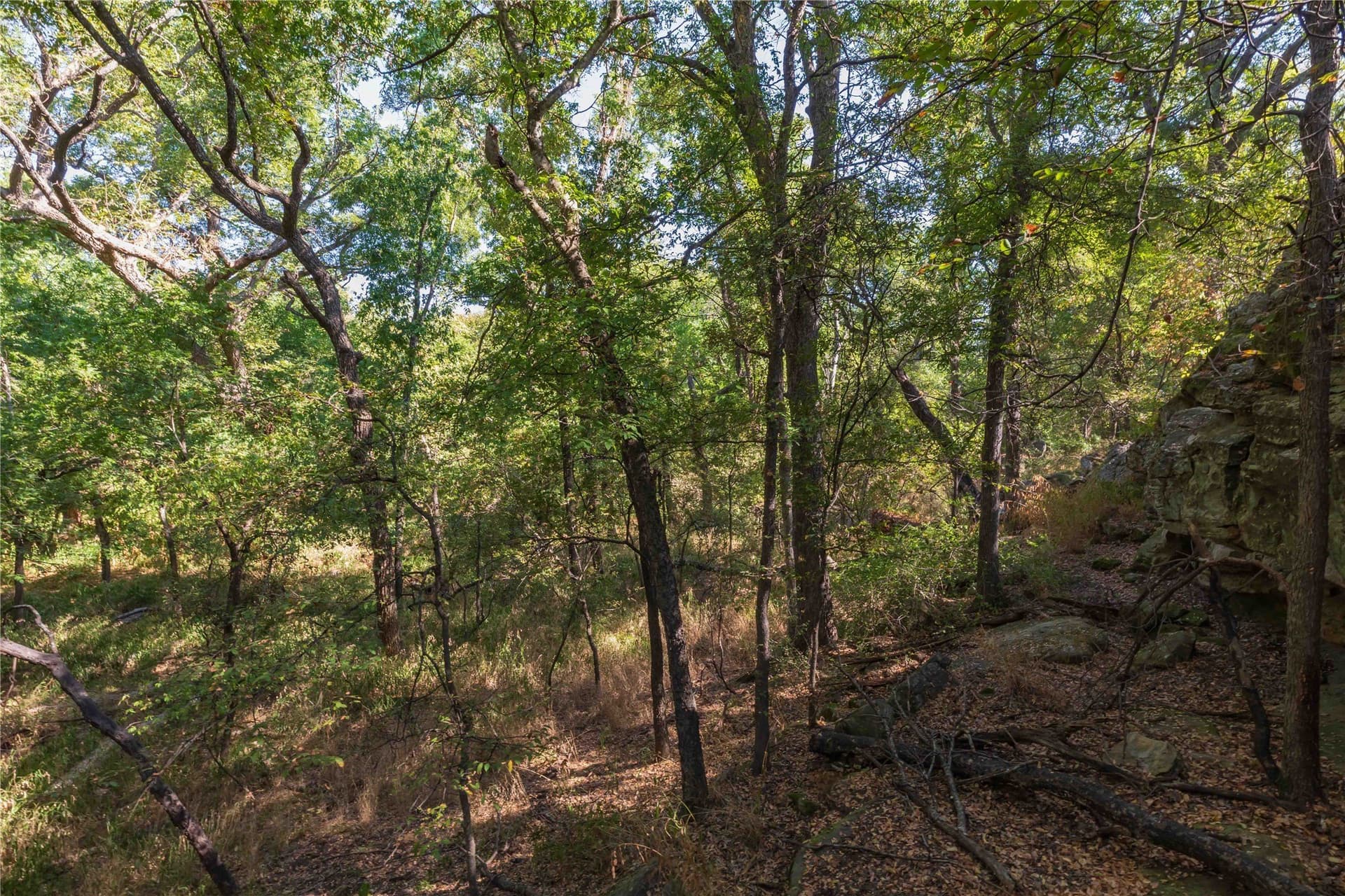 73.66 acres in Comanche County - photo 38