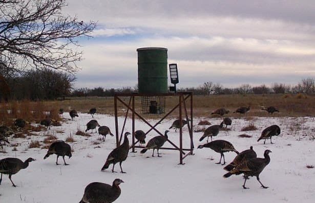 73.66 acres in Comanche County - photo 9