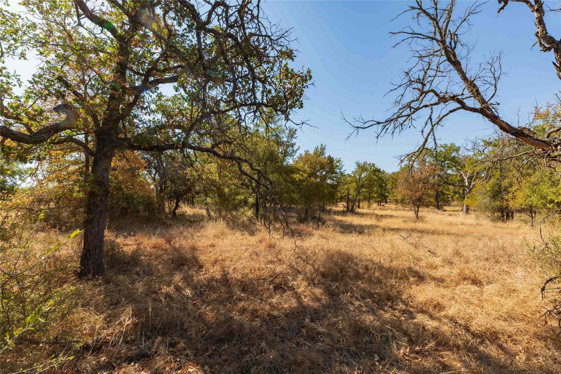 73.66 acres in Comanche County - photo 25