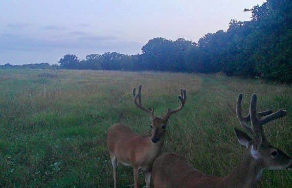73.66 acres in Comanche County - photo 21