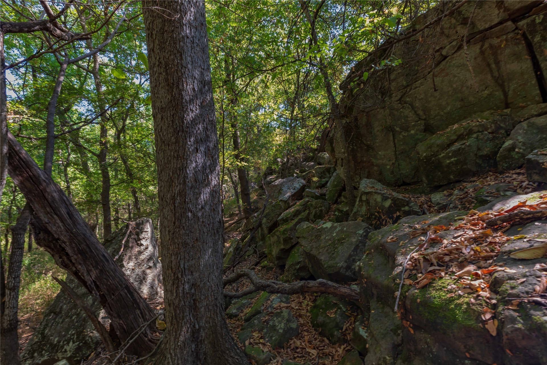 73.66 acres in Comanche County - photo 4