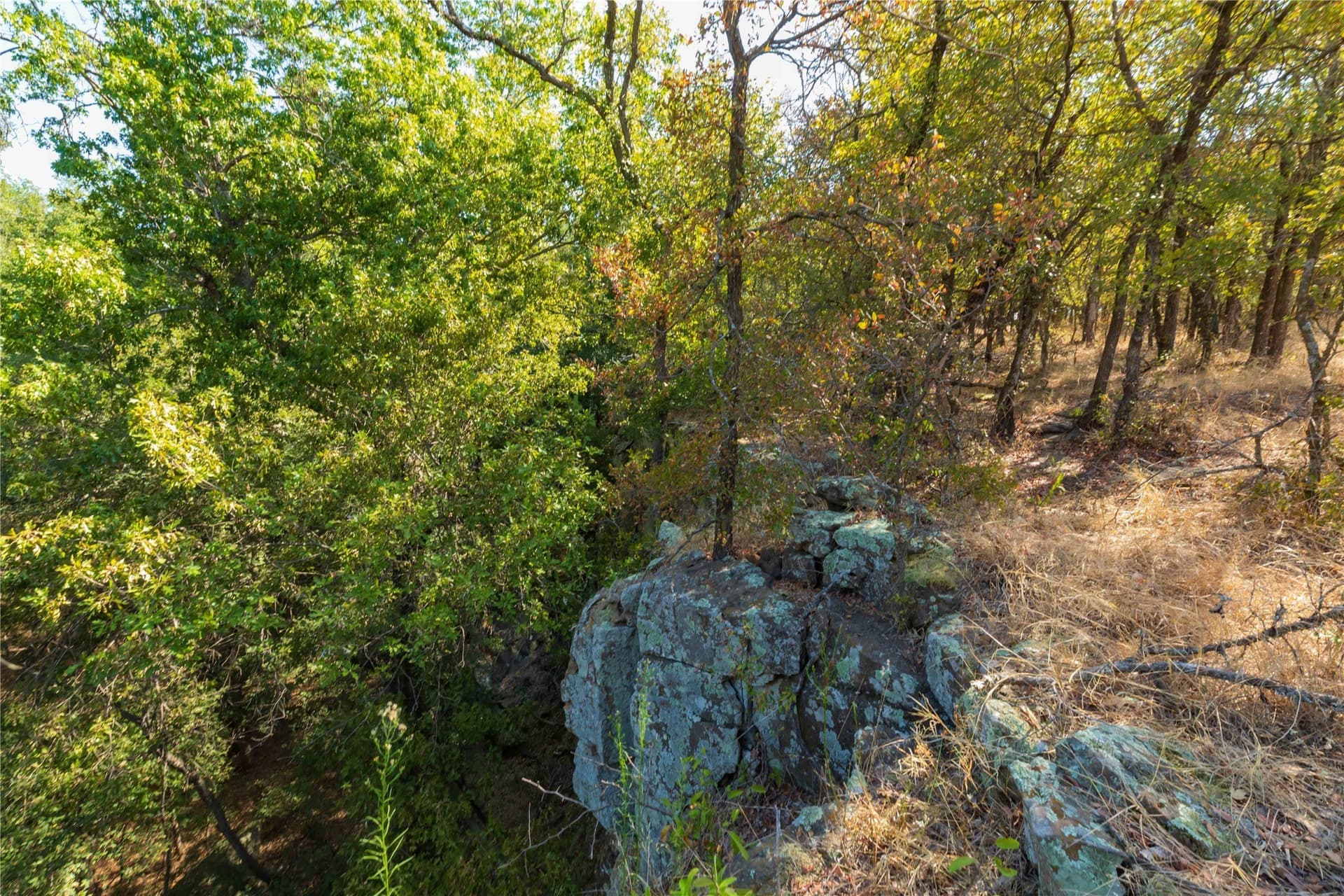 73.66 acres in Comanche County - photo 2