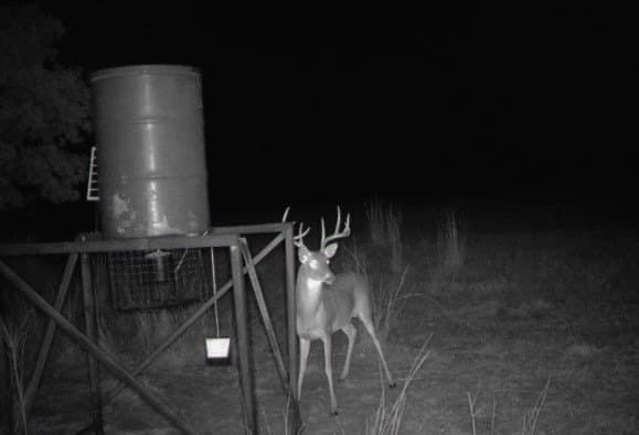 73.66 acres in Comanche County - photo 10