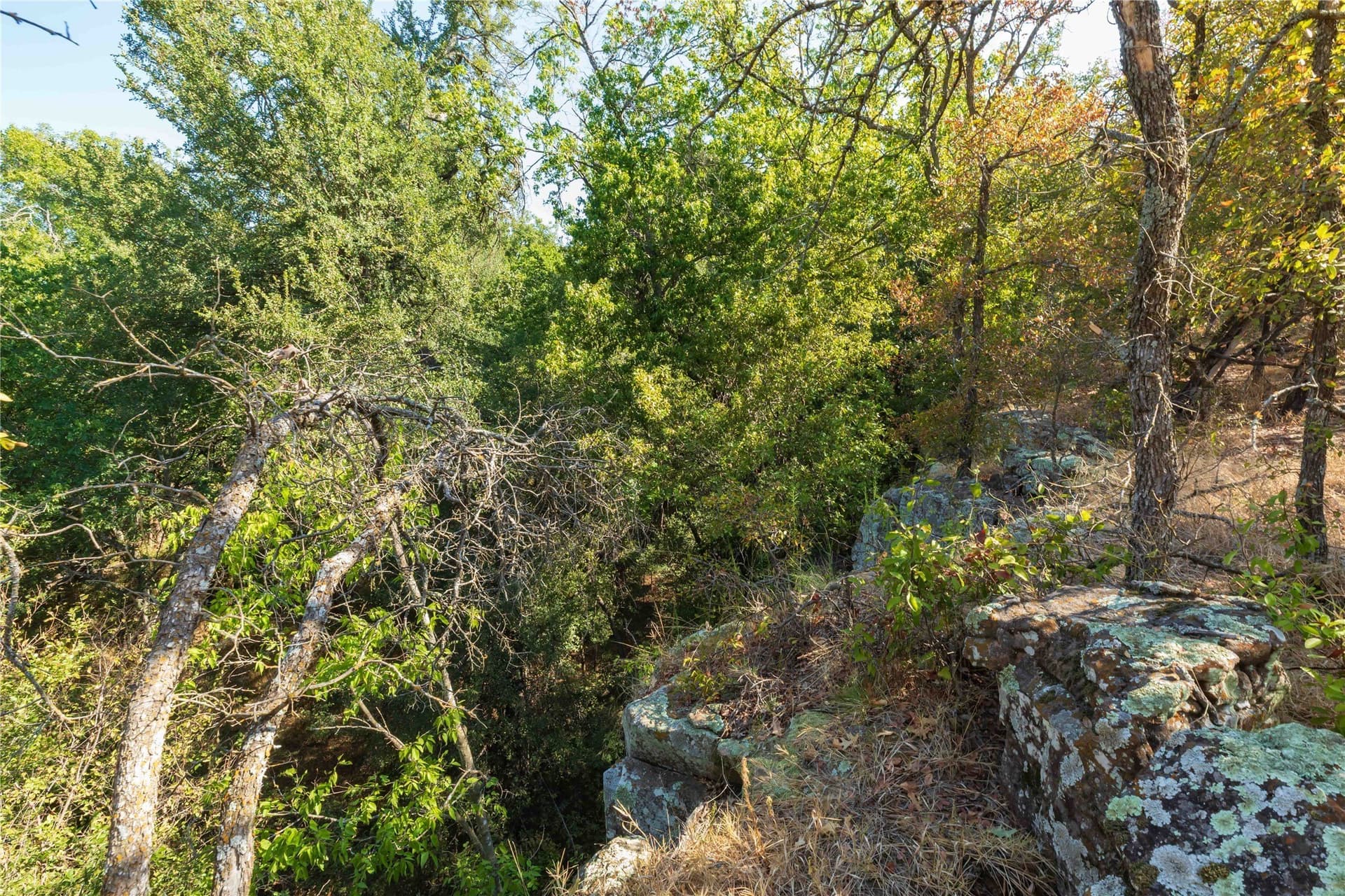 73.66 acres in Comanche County - photo 18
