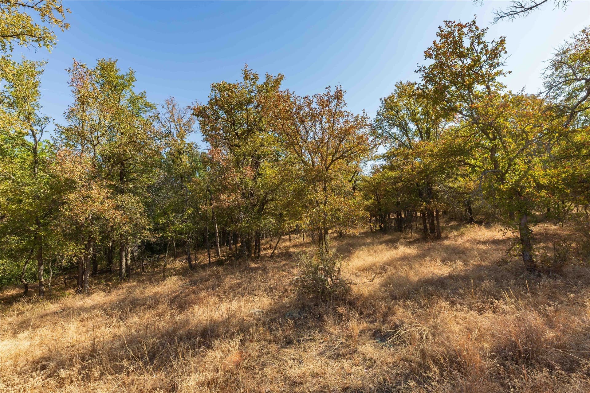 73.66 acres in Comanche County - photo 6