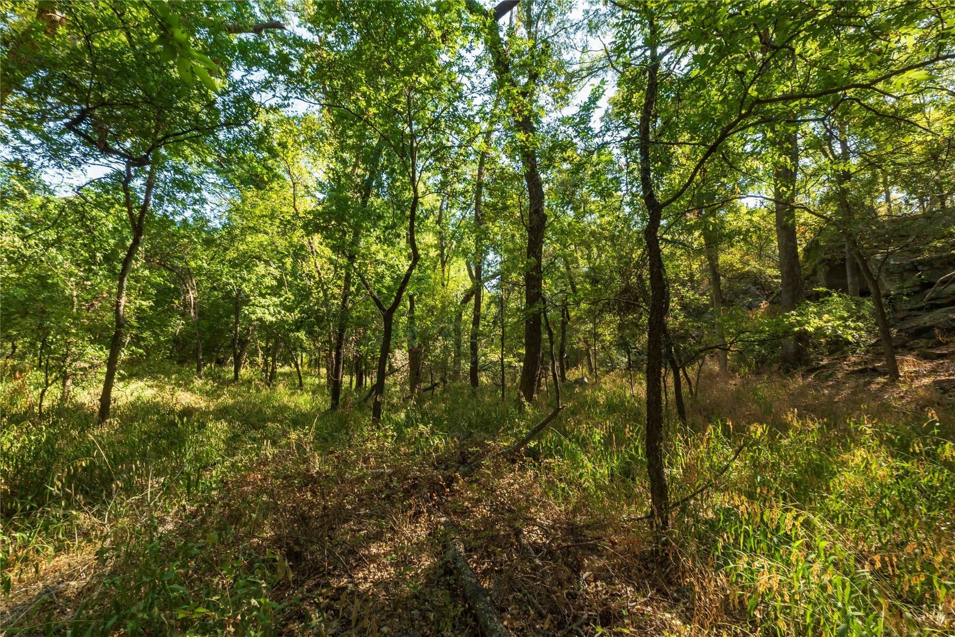 73.66 acres in Comanche County - photo 29